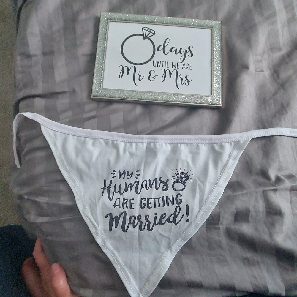 Engagement Package!